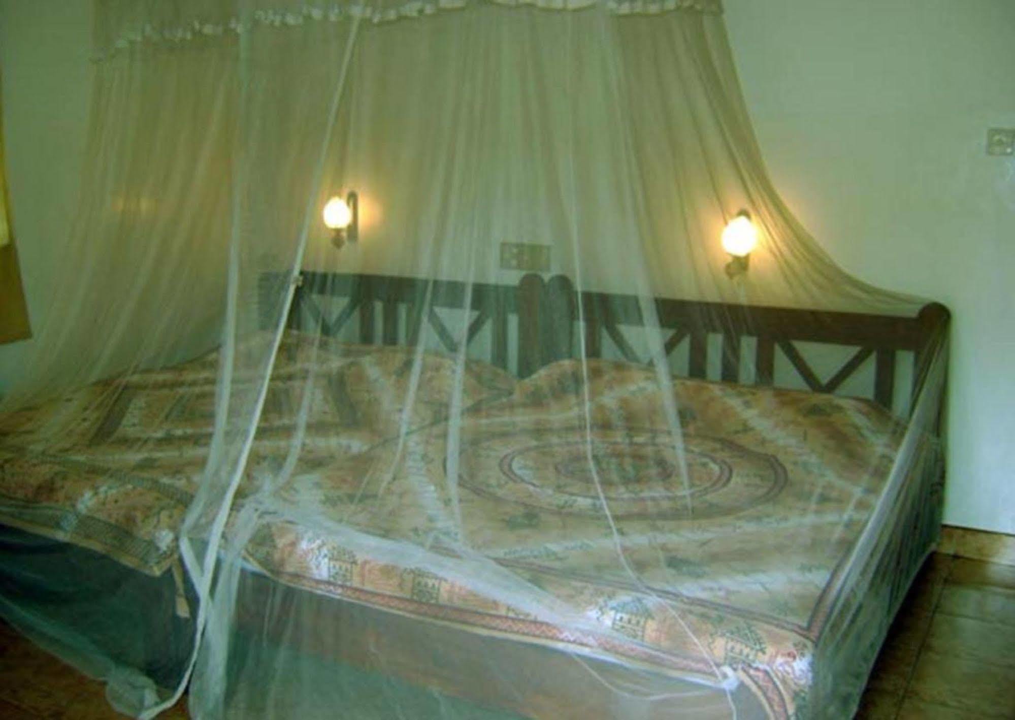 Palm Garden Home Stay Deiyannewela Buitenkant foto